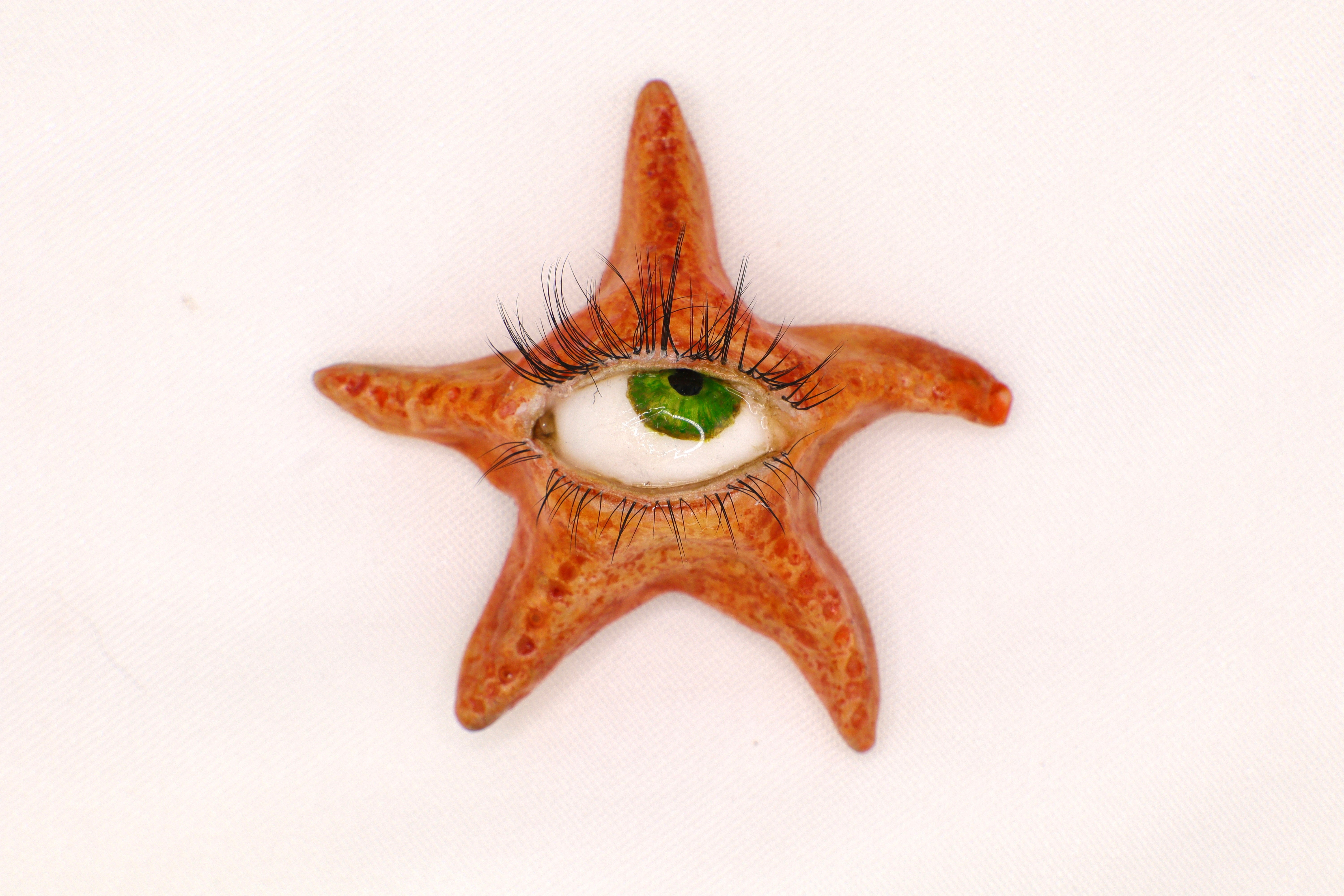 Ollie the Starfish – Persephone's Choice