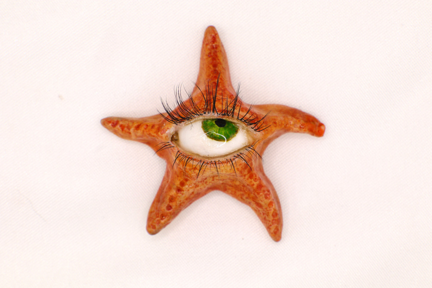 Ollie the Starfish