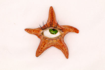 Ollie the Starfish