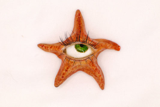 Ollie the Starfish