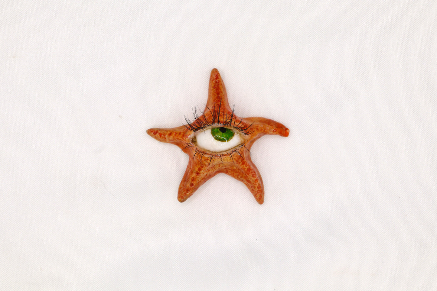Ollie the Starfish