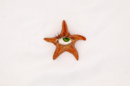 Ollie the Starfish