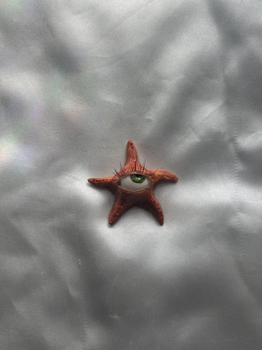 Ollie the Starfish