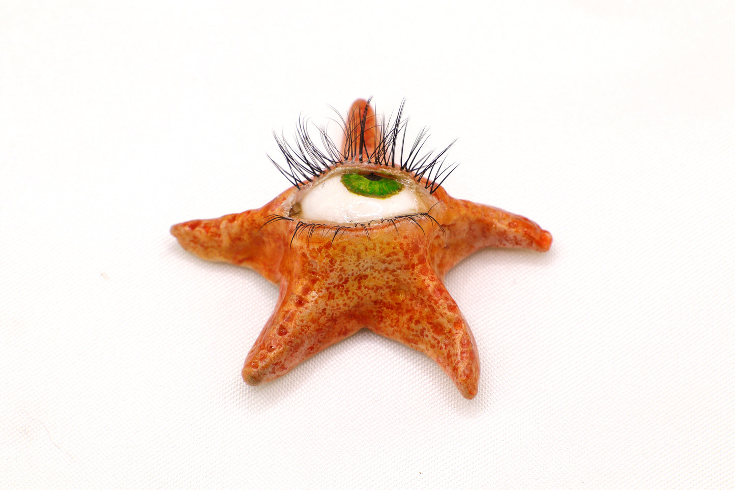 Ollie the Starfish