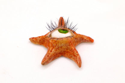 Ollie the Starfish
